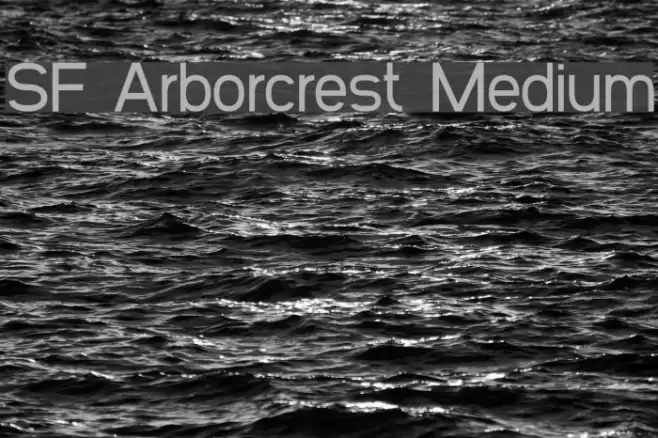 SF Arborcrest Medium Font examples