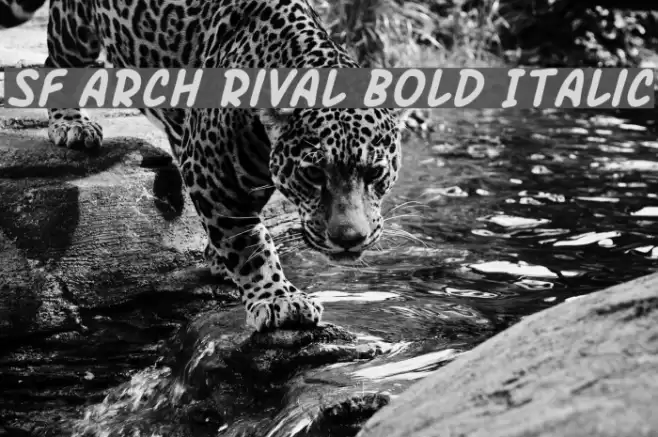 SF Arch Rival Bold Italic  examples