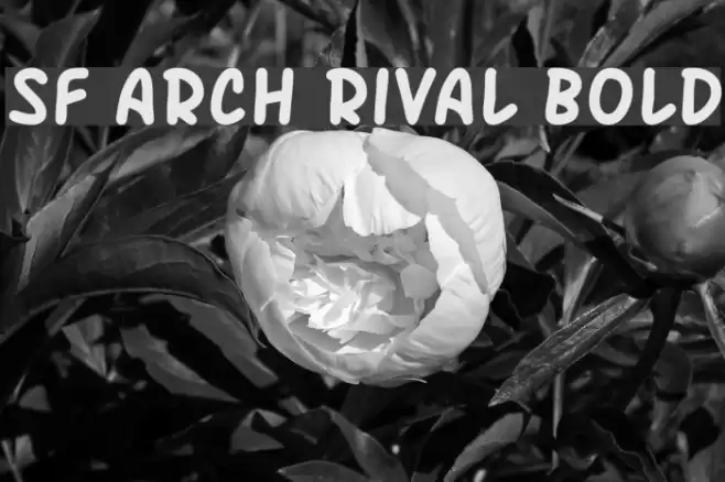 SF Arch Rival Bold Font examples