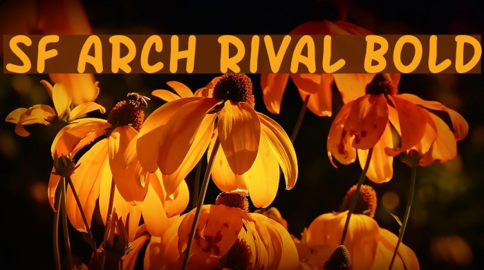 SF Arch Rival Bold Font examples