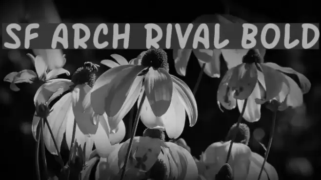 SF Arch Rival Bold Font examples