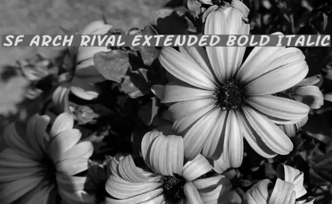 SF Arch Rival Extended Bold Italic examples