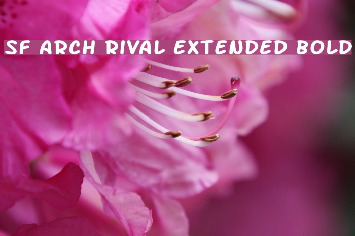 SF Arch Rival Extended Bold Font examples