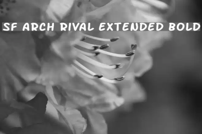 SF Arch Rival Extended Bold フォント examples