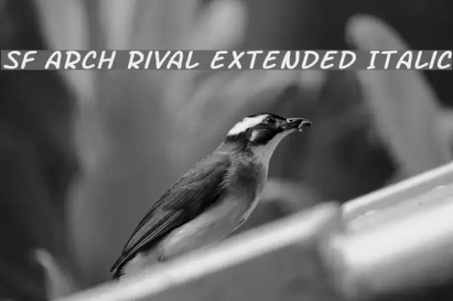 SF Arch Rival Extended Italic Font examples