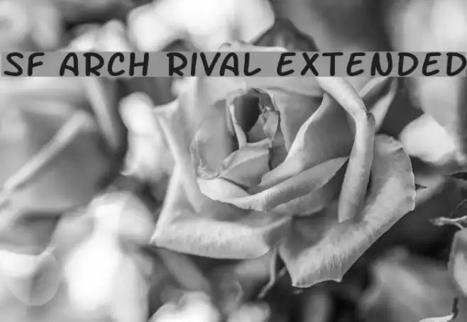 SF Arch Rival Extended Font examples