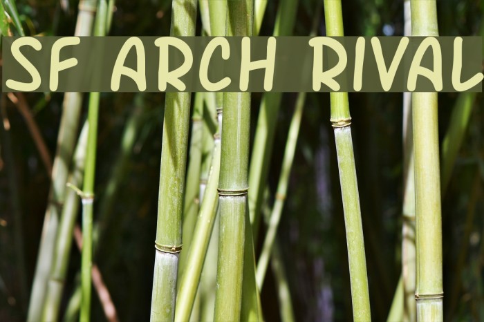 SF Arch Rival Font examples