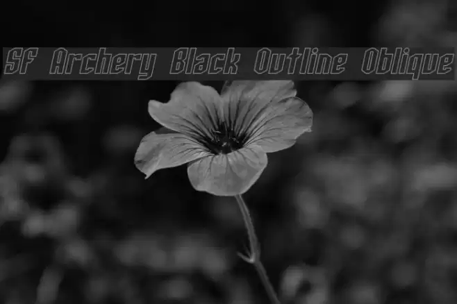 SF Archery Black Outline Oblique Font examples
