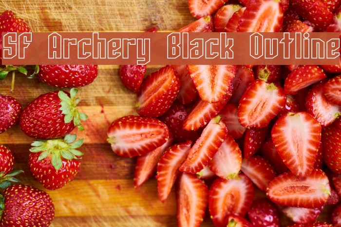SF Archery Black Outline Font examples