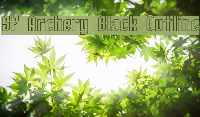 SF Archery Black Outline Font examples