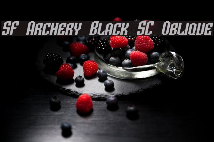 SF Archery Black SC Oblique Font examples