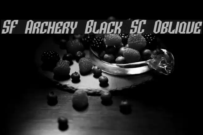 SF Archery Black SC Oblique Font examples