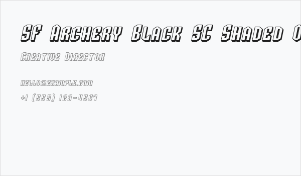 SF Archery Black SC Shaded Oblique Business Card