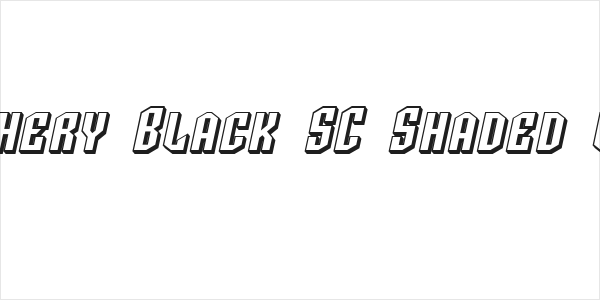 SF Archery Black SC Shaded Oblique Logo