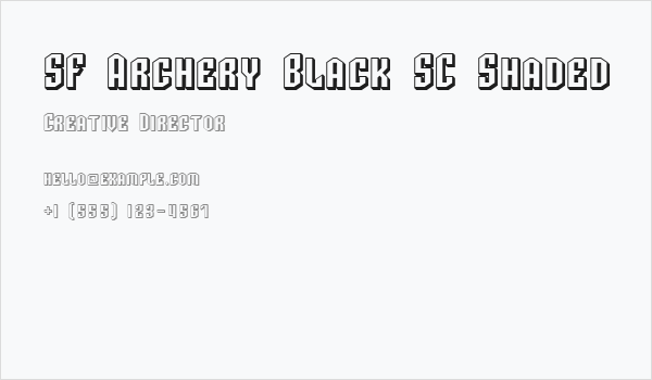 SF Archery Black SC Shaded Business Card