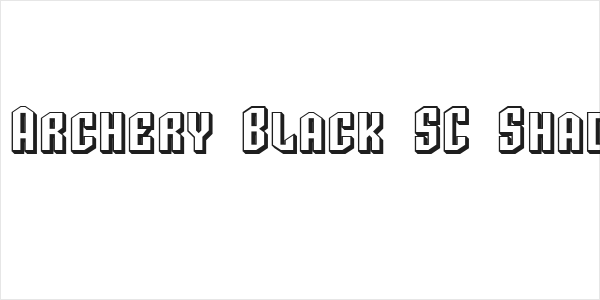 SF Archery Black SC Shaded Logo