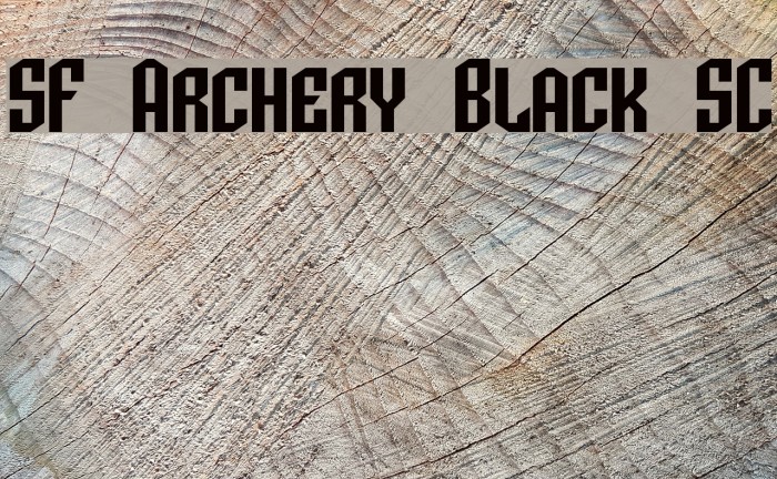 SF Archery Black SC Font examples