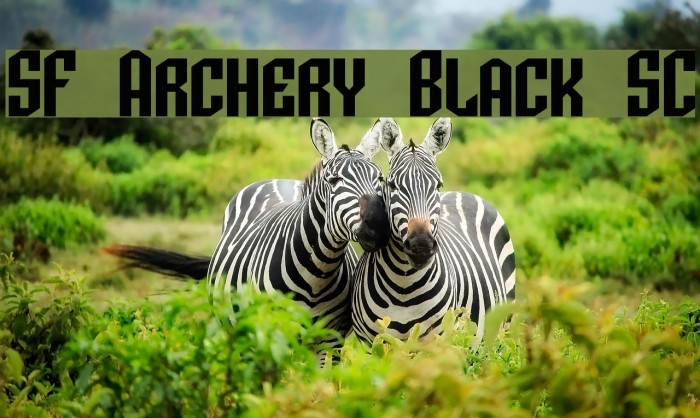 SF Archery Black SC Font examples