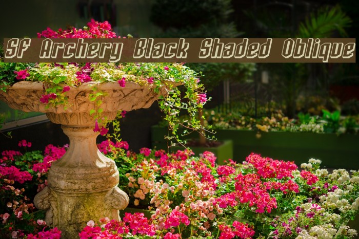 SF Archery Black Shaded Oblique Font examples