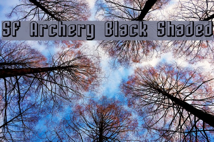 SF Archery Black Shaded Font examples