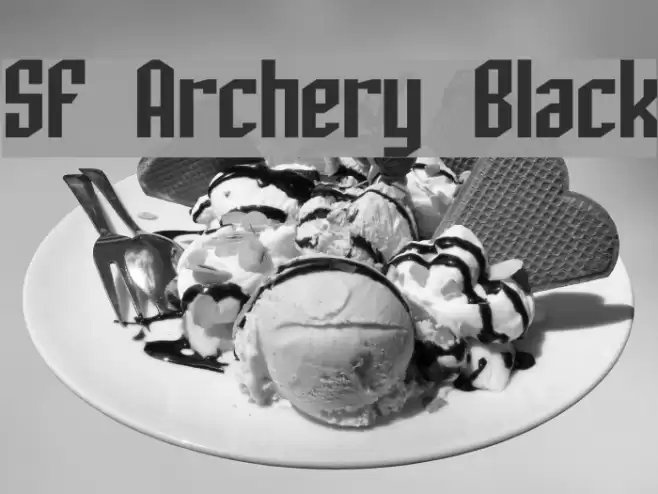 SF Archery Black Font examples