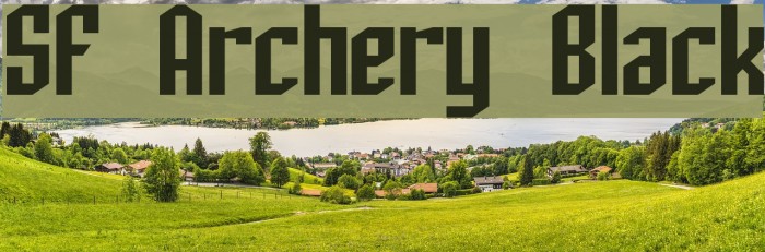 SF Archery Black Font examples