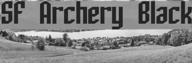 SF Archery Black Font examples