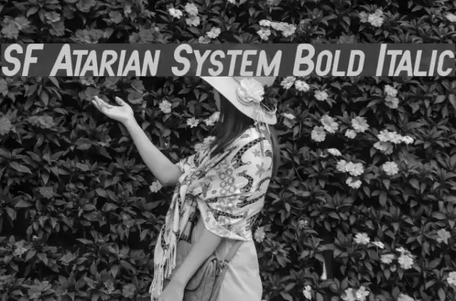 SF Atarian System Bold Italic フォント examples