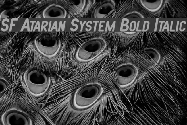 SF Atarian System Bold Italic フォント examples