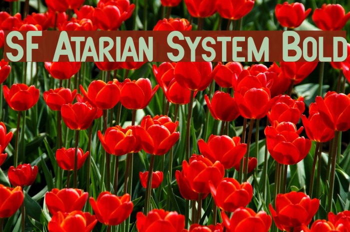SF Atarian System Bold Font examples