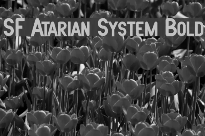 SF Atarian System Bold Шрифта examples