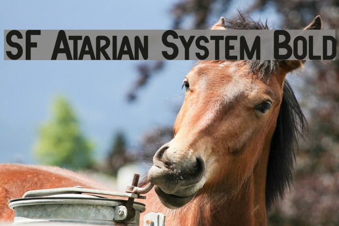 SF Atarian System Bold Font examples