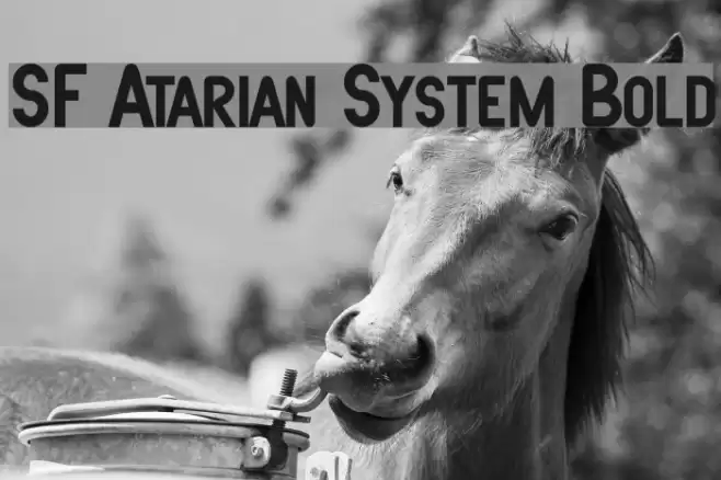 SF Atarian System Bold Шрифта examples