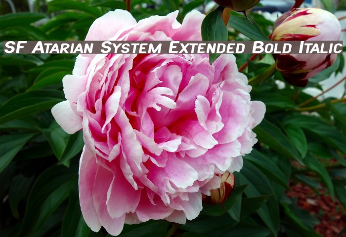 SF Atarian System Extended Bold Italic Font examples