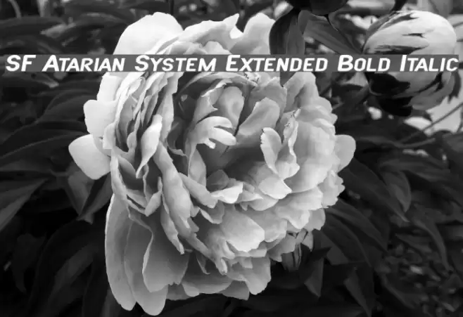 SF Atarian System Extended Bold Italic フォント examples