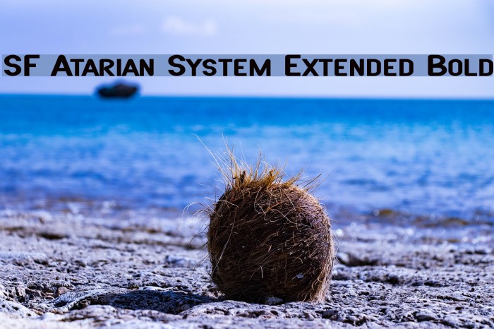 SF Atarian System Extended Bold Font examples