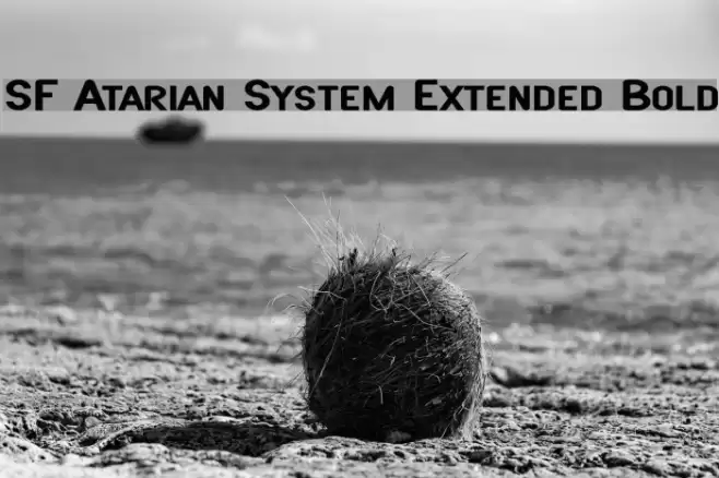 SF Atarian System Extended Bold フォント examples