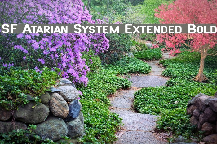 SF Atarian System Extended Bold Font examples