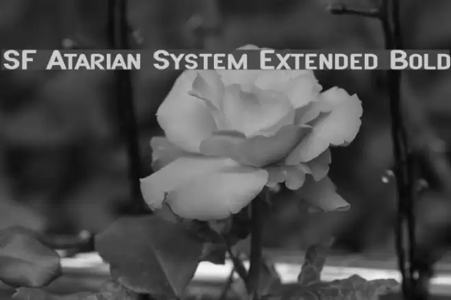 SF Atarian System Extended Bold フォント examples
