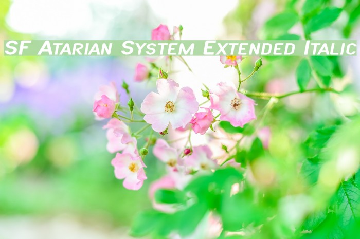 SF Atarian System Extended Italic Font examples