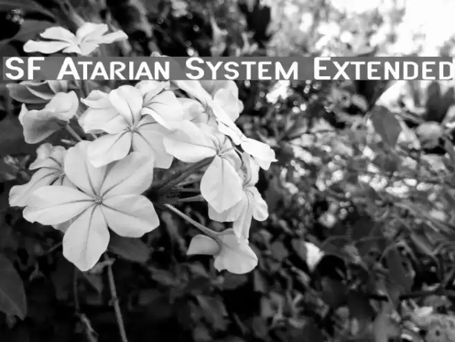 SF Atarian System Extended フォント examples