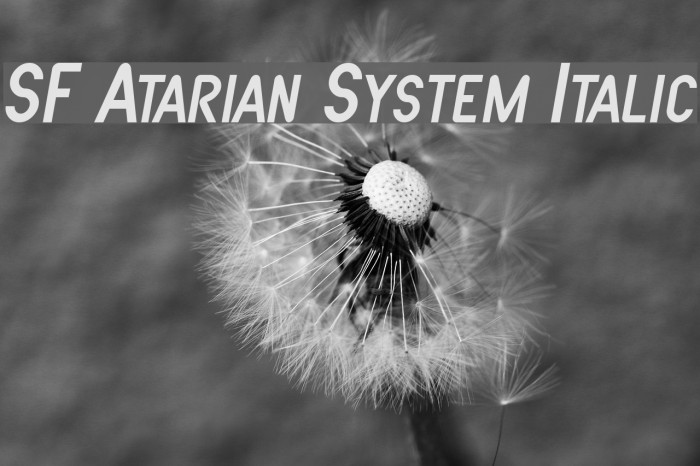 SF Atarian System Italic Polices examples