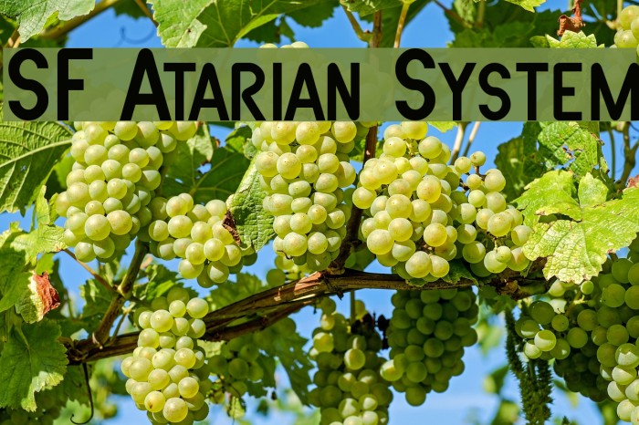 SF Atarian System Font examples