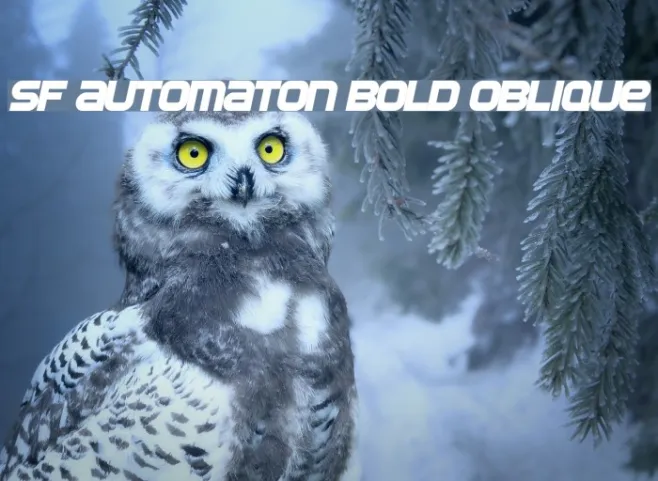 SF Automaton Bold Oblique Example 1
