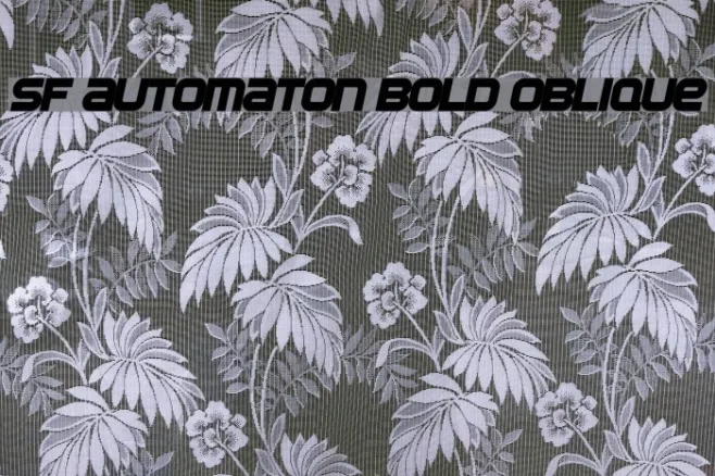 SF Automaton Bold Oblique Example 3