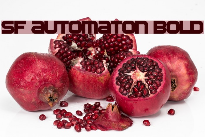 SF Automaton Bold Font examples