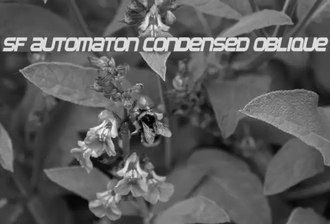 SF Automaton Condensed Oblique Font examples