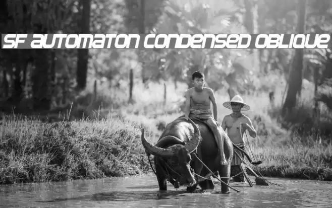 SF Automaton Condensed Oblique Font examples