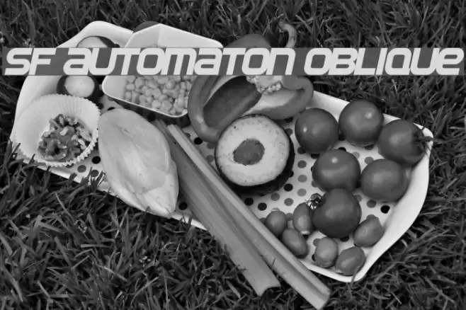SF Automaton Oblique Font examples
