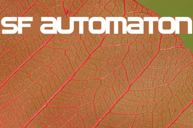 SF Automaton Example 1